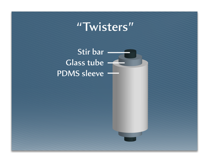 Michelle Lee SBSE presentation - slide 2