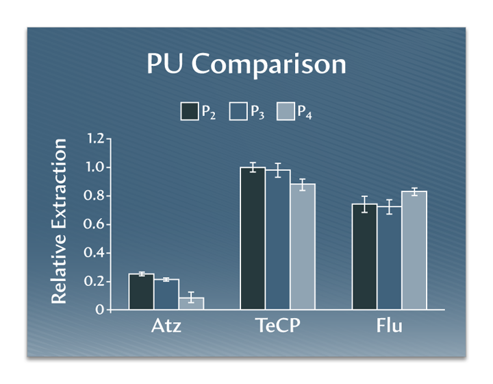 Michelle Lee SBSE presentation - slide 3