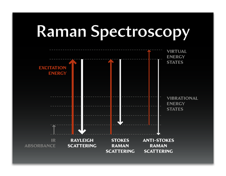 Michelle Lee SERS presentation - slide 2