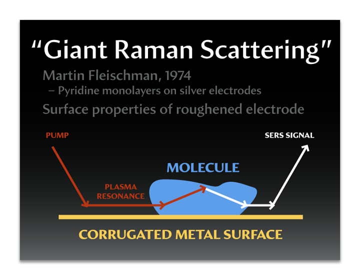Michelle Lee SERS presentation - slide 3