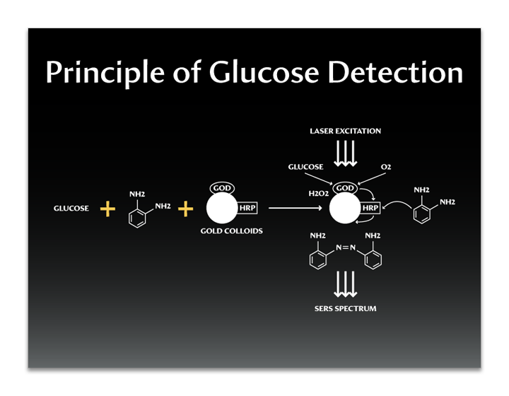 Michelle Lee SERS presentation - slide 4